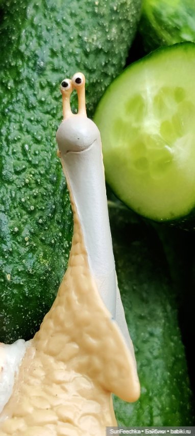 Дзен обыкновенной улитки — Интересные игрушки и фигурки (разное): редкие