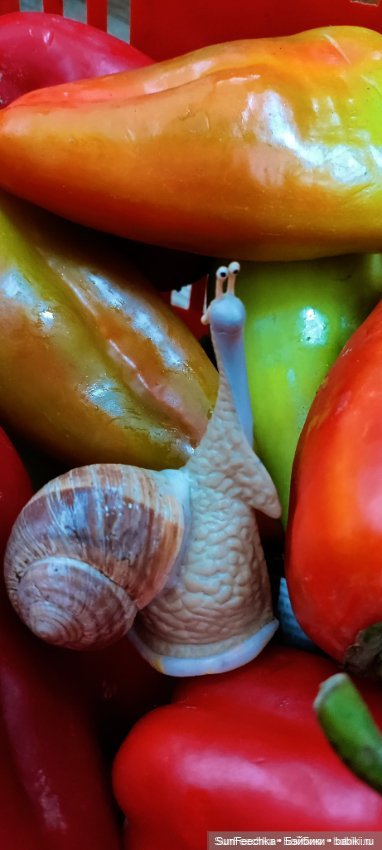 Дзен обыкновенной улитки — Интересные игрушки и фигурки (разное): редкие