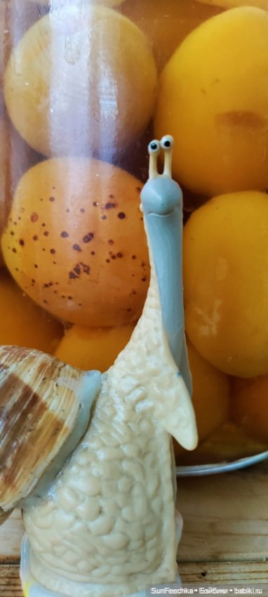 Дзен обыкновенной улитки — Интересные игрушки и фигурки (разное): редкие