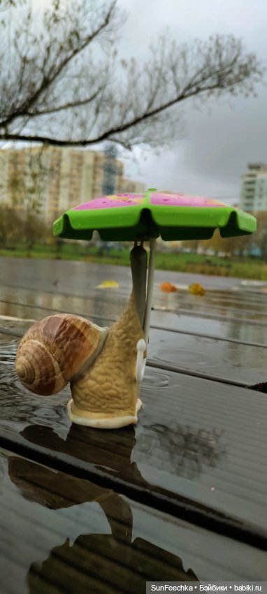 Дзен обыкновенной улитки — Интересные игрушки и фигурки (разное): редкие