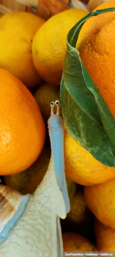 Дзен обыкновенной улитки — Интересные игрушки и фигурки (разное): редкие