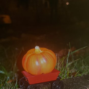 Обыкновенная улитка и Хеллоуин