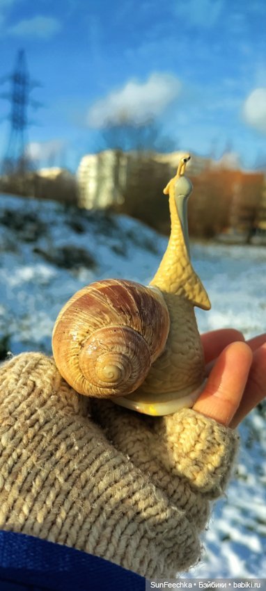 Первое чудо обыкновенной улитки