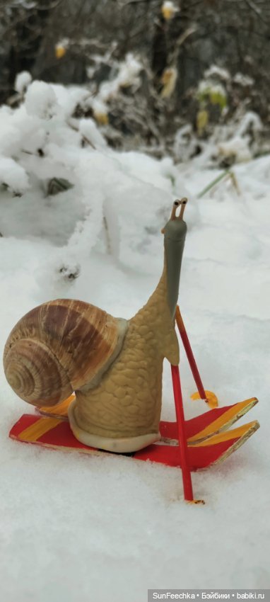 Первое чудо обыкновенной улитки (фото 3)