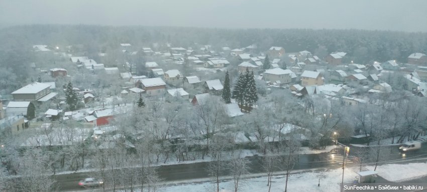 Первое чудо обыкновенной улитки