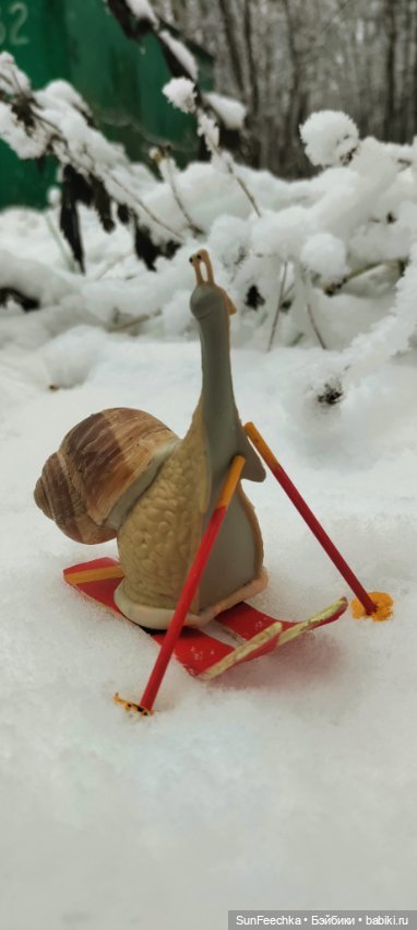 Первое чудо обыкновенной улитки (фото 2)