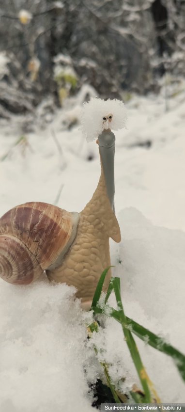Первое чудо обыкновенной улитки (фото 5)
