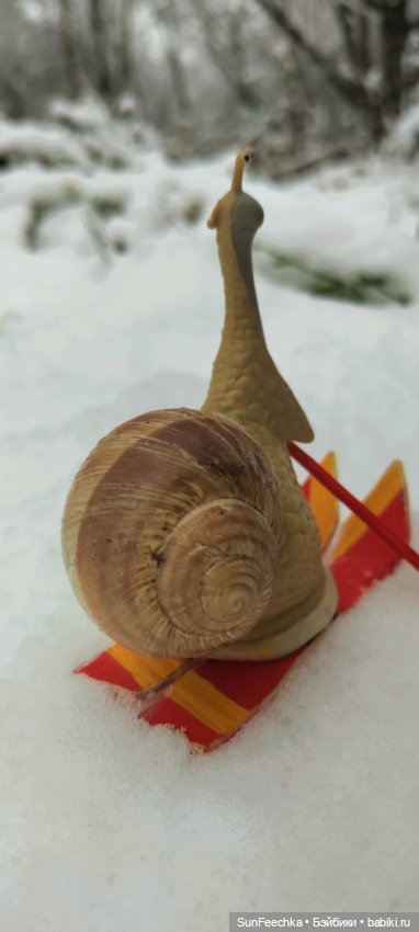 Первое чудо обыкновенной улитки (фото 4)