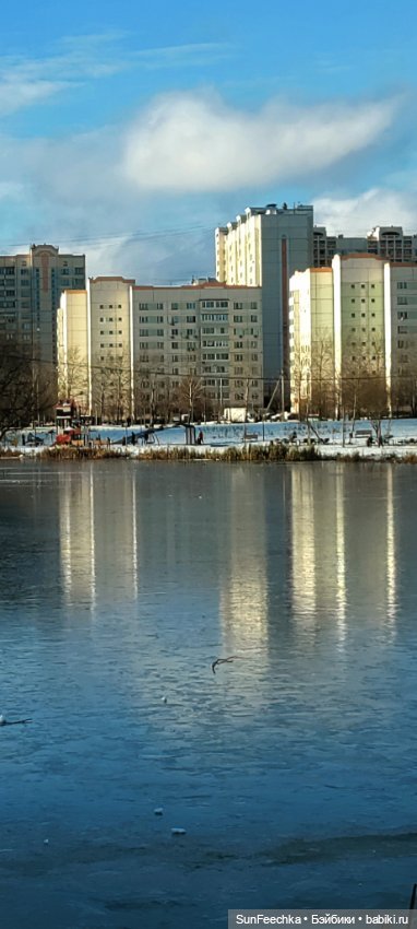 Первое чудо обыкновенной улитки (фото 10)