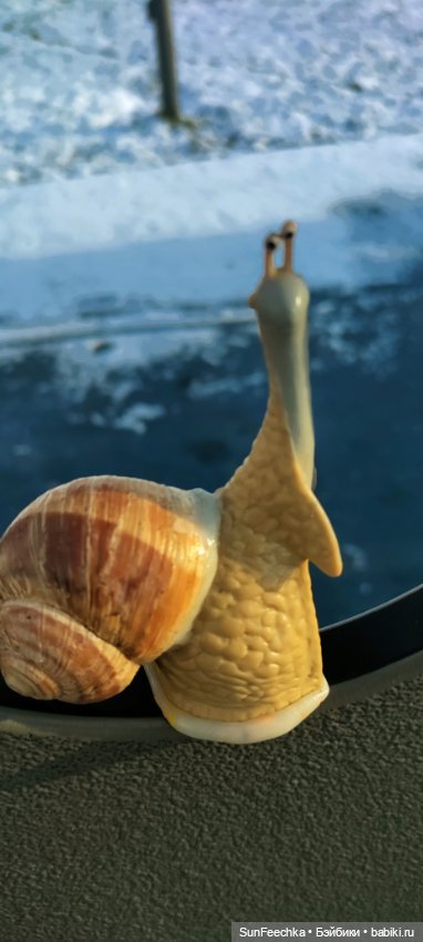 Первое чудо обыкновенной улитки