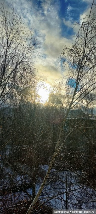 Первое чудо обыкновенной улитки