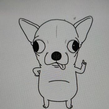 Чихуахуа Маффин