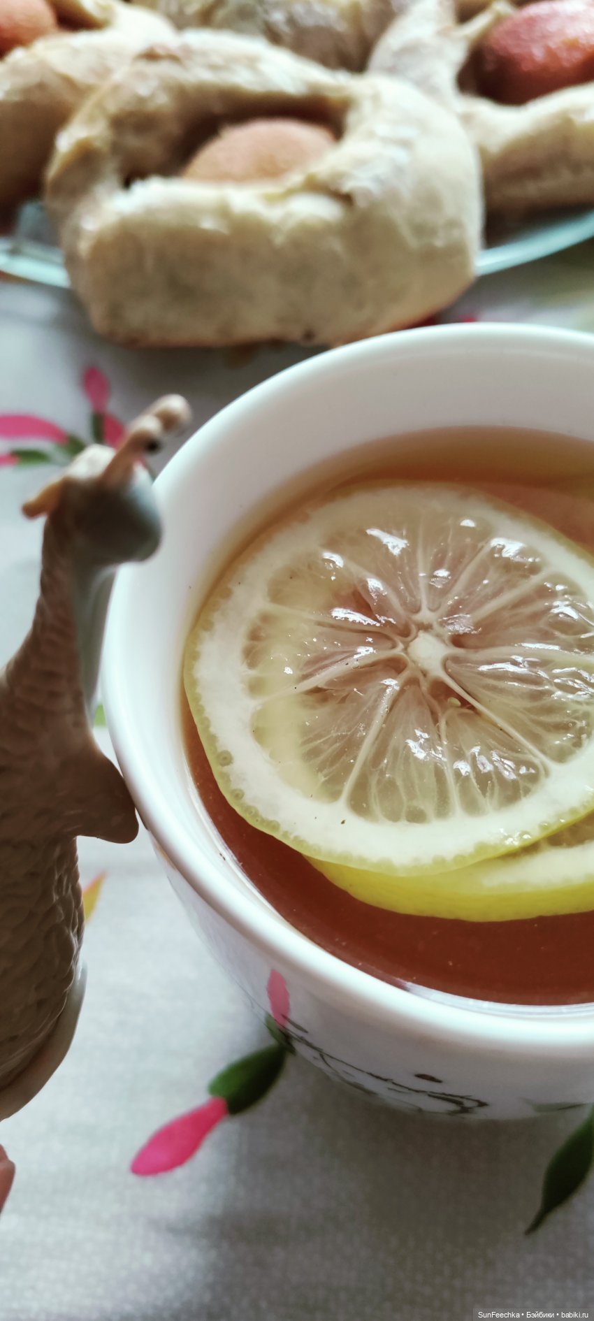 Большая ошибка обыкновенной улитки (фото 4)