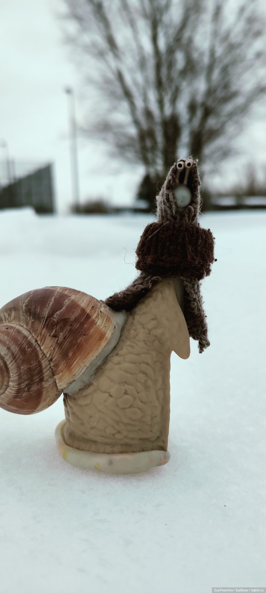 Большая ошибка обыкновенной улитки (фото 2)