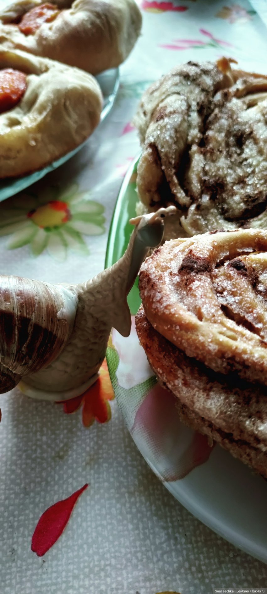 Большая ошибка обыкновенной улитки (фото 5)