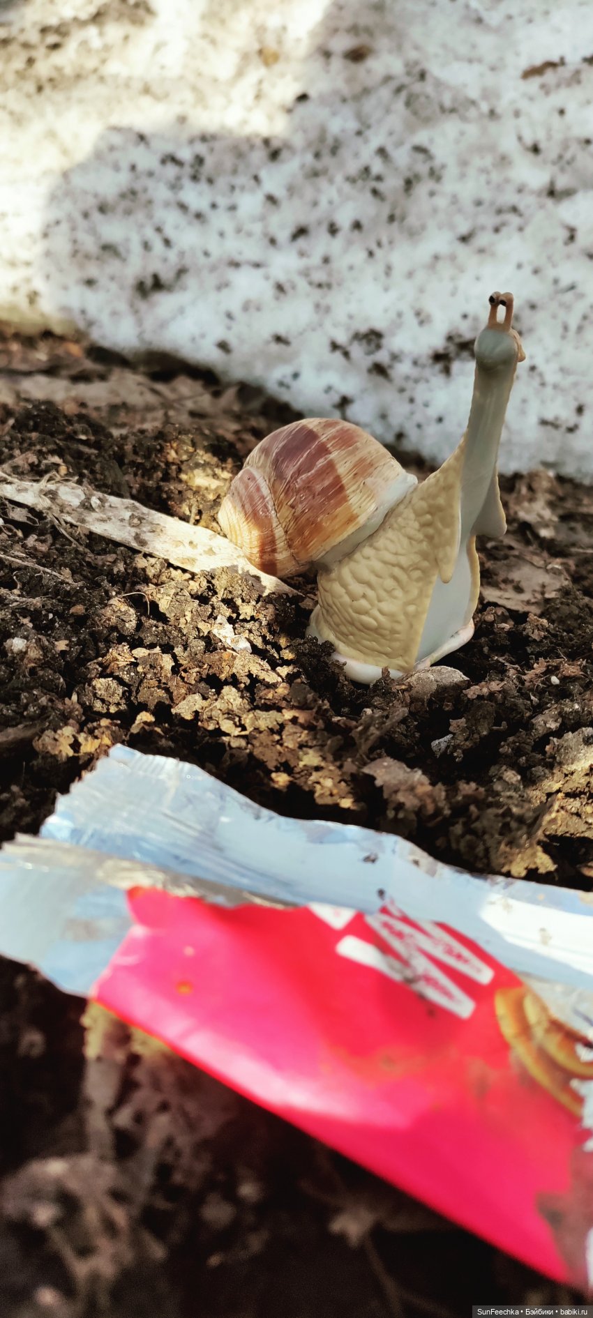 Весенние заботы обыкновенной улитки (фото 5)