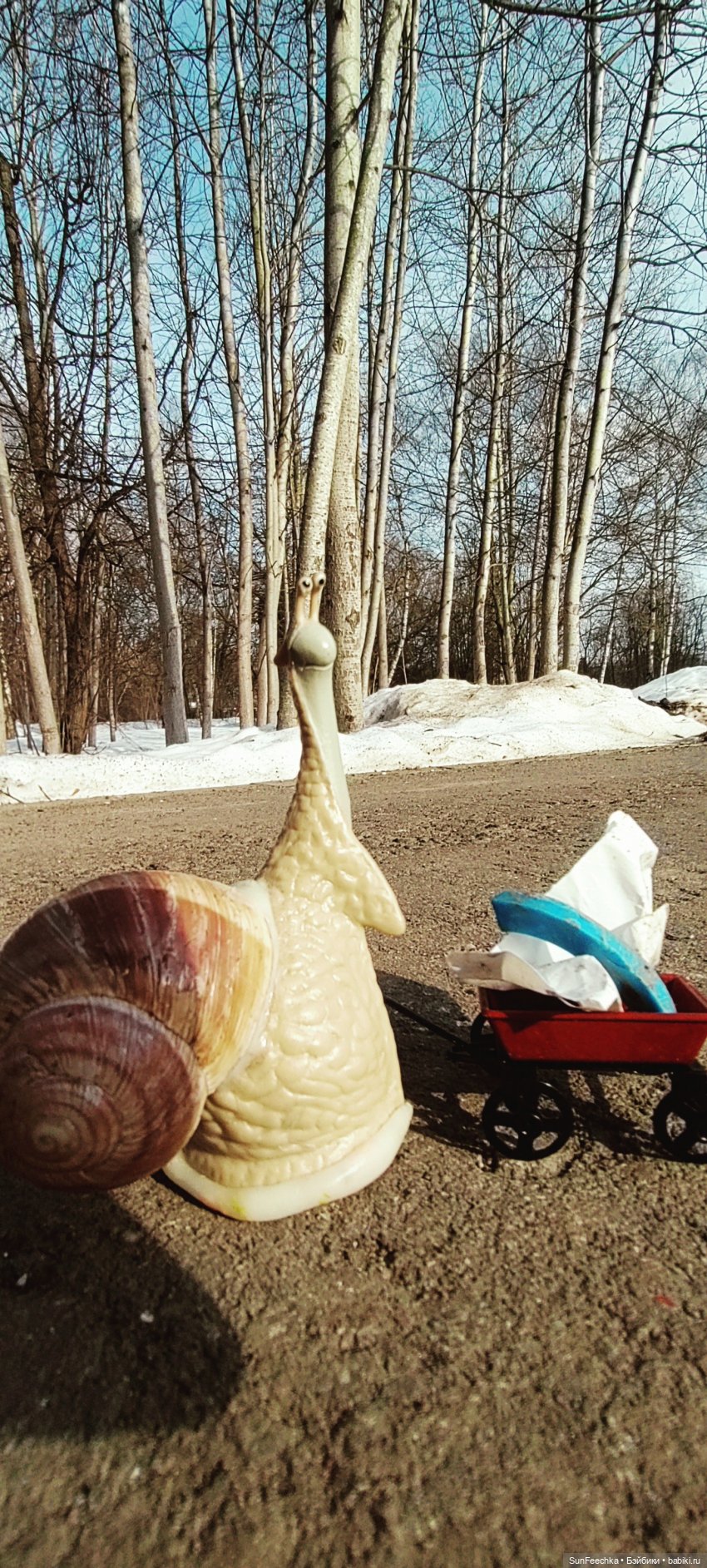 Весенние заботы обыкновенной улитки (фото 8)