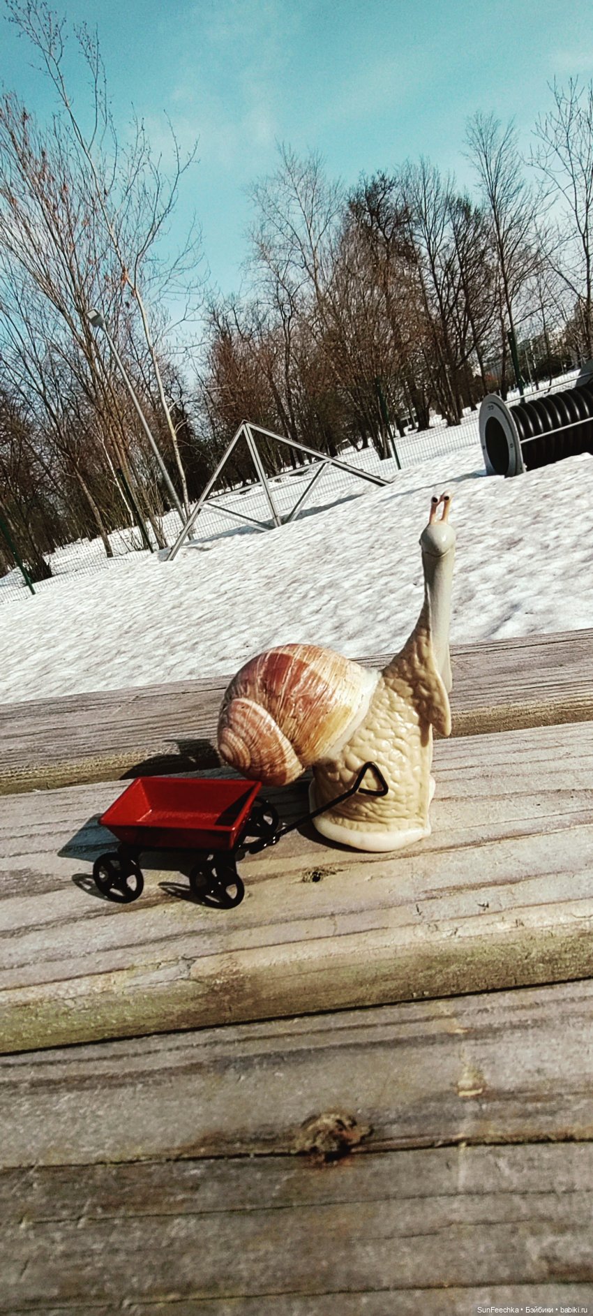 Весенние заботы обыкновенной улитки (фото 10)