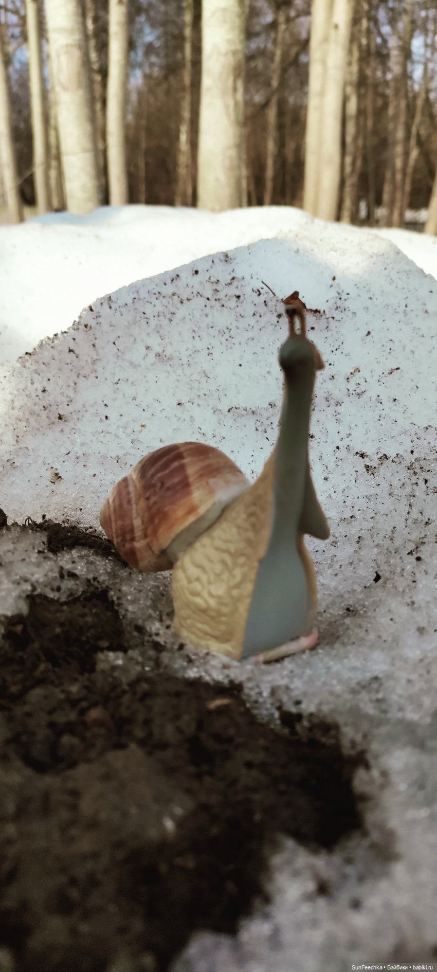 Весенние заботы обыкновенной улитки