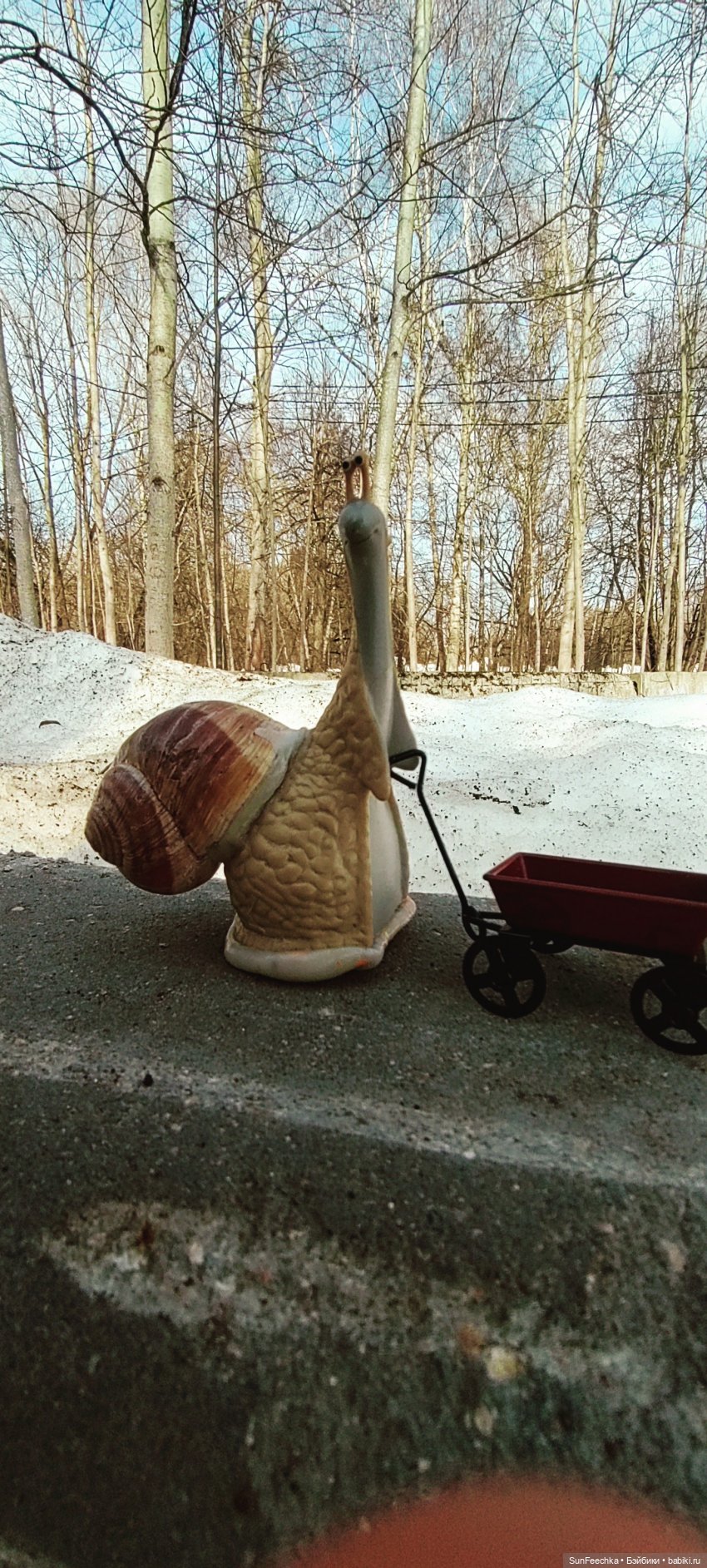 Весенние заботы обыкновенной улитки (фото 6)