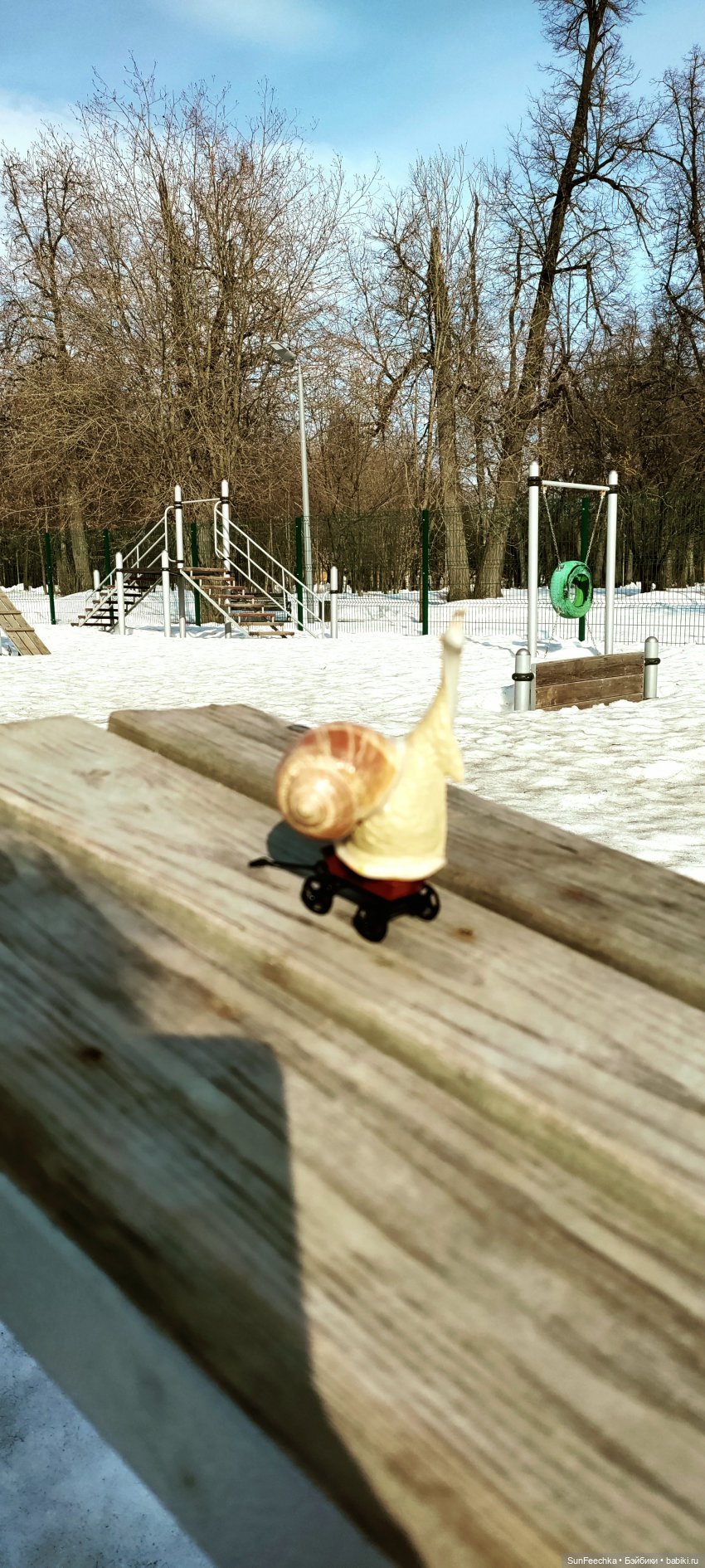 Весенние заботы обыкновенной улитки