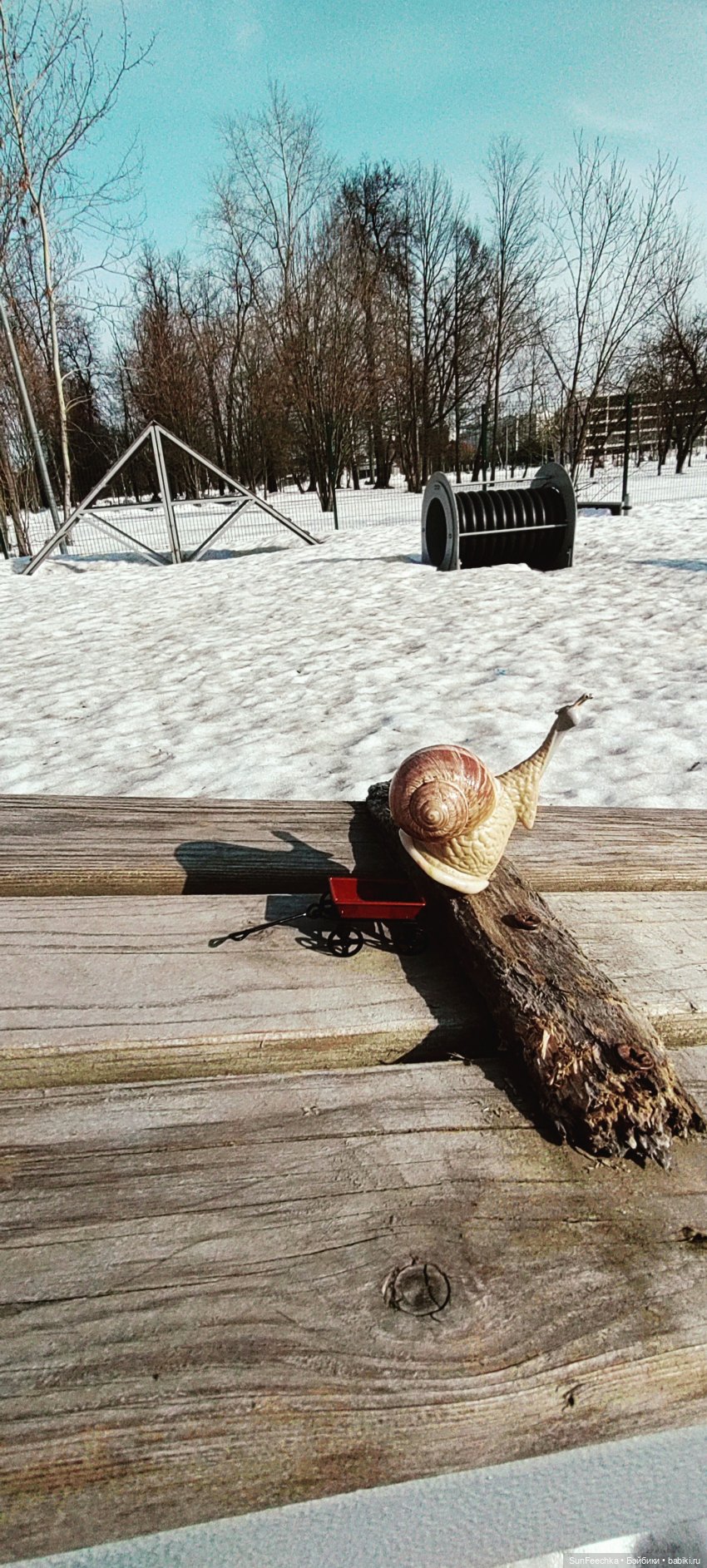 Весенние заботы обыкновенной улитки