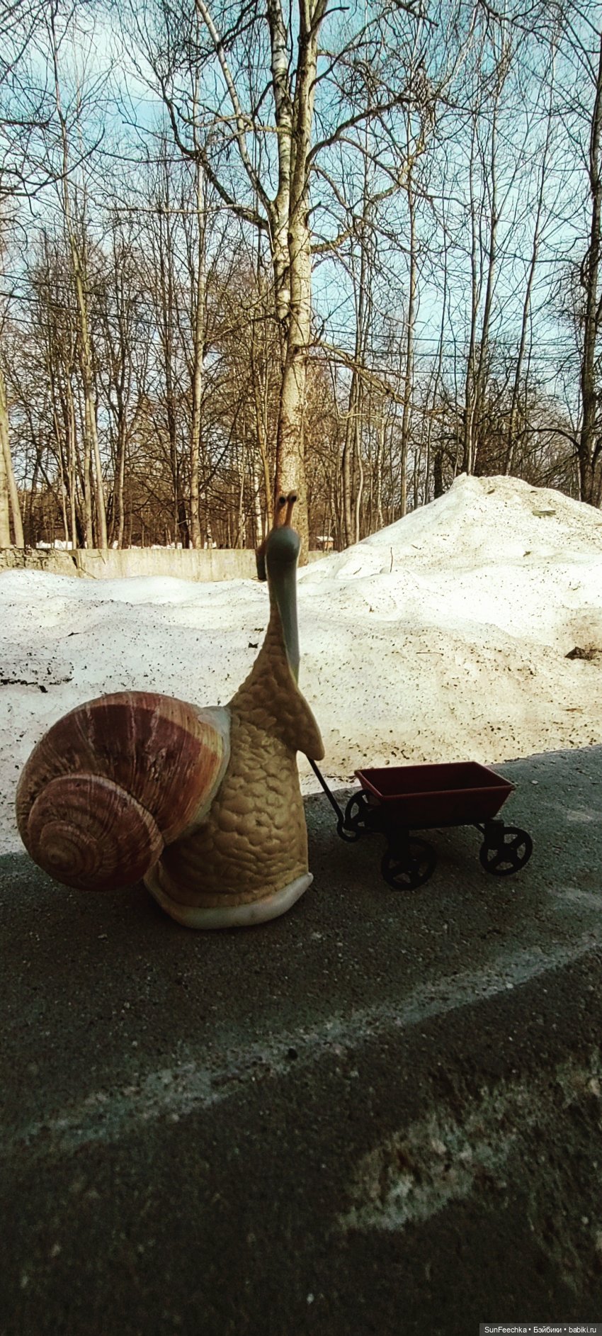 Весенние заботы обыкновенной улитки (фото 7)