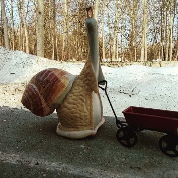 Весенние заботы обыкновенной улитки