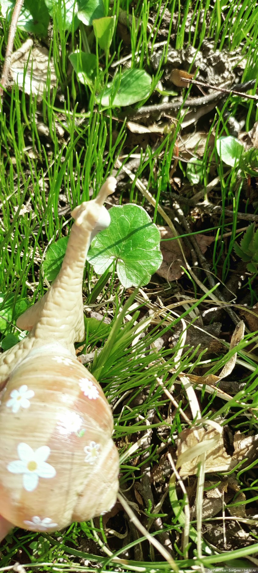 Тихая радость обыкновенной улитки