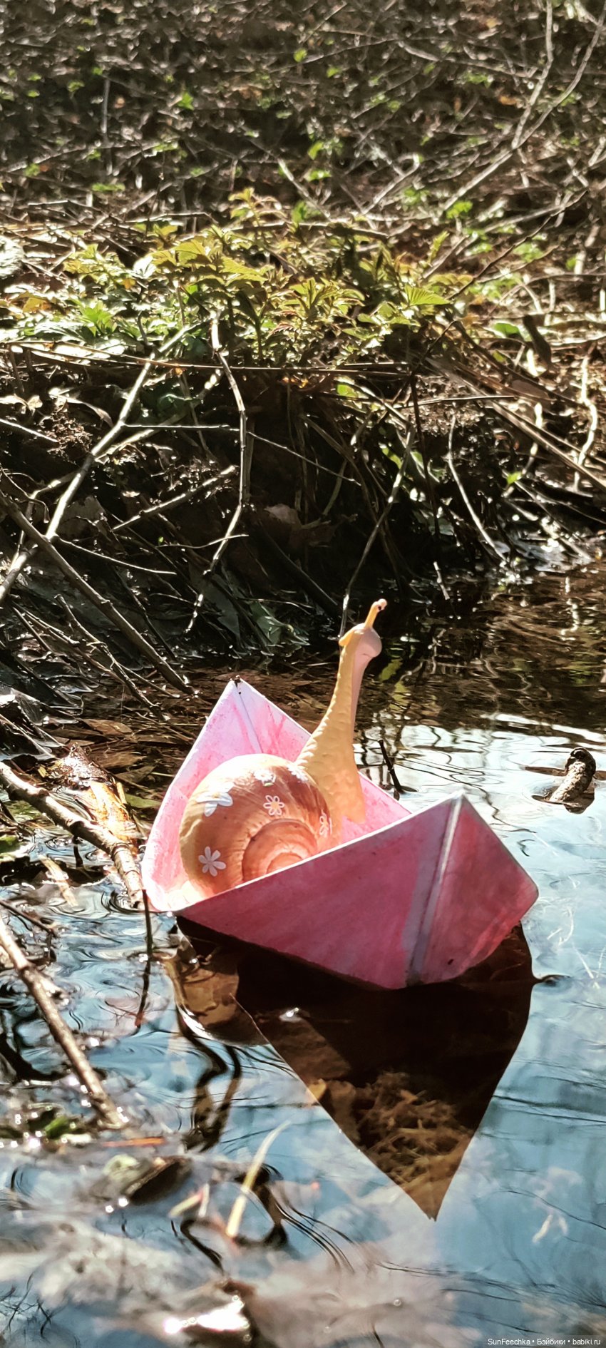 Тихая радость обыкновенной улитки (фото 6)