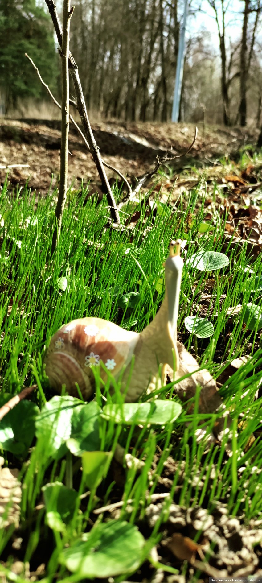 Тихая радость обыкновенной улитки (фото 2)