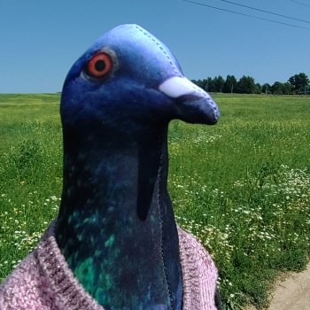 Знакомьтесь, Акакий!)