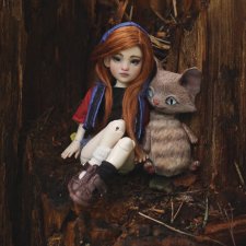 Софи в волшебном лесу