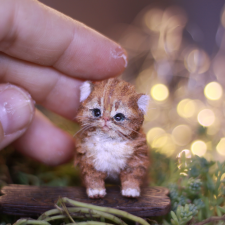 Котенок в смешанной технике