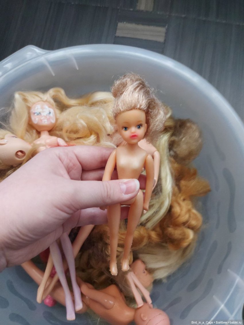 Тазик сюрпризов — Игровые куклы разных производителей (Разное): редкие бренды (фото 3)