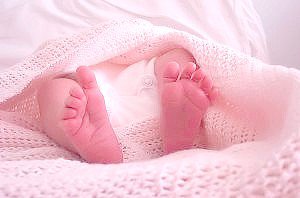 Аист прилетел — Болталка и разговоры обо всем: жизнь (фото 2)