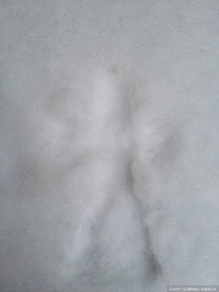 Куклы Dollzone (Доллзон): BJD (БЖД) (фото 6)