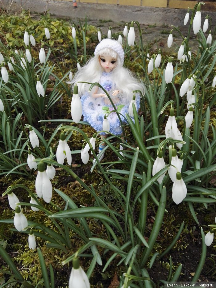 С праздником — Куклы Dollzone (Доллзон): BJD (БЖД) (фото 3)