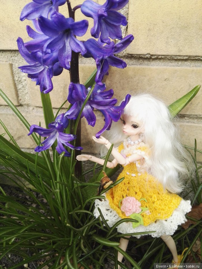 Дальние родственники. Прогулка в саду (фото 5)