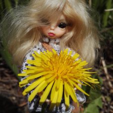 Один летний день Ивушки