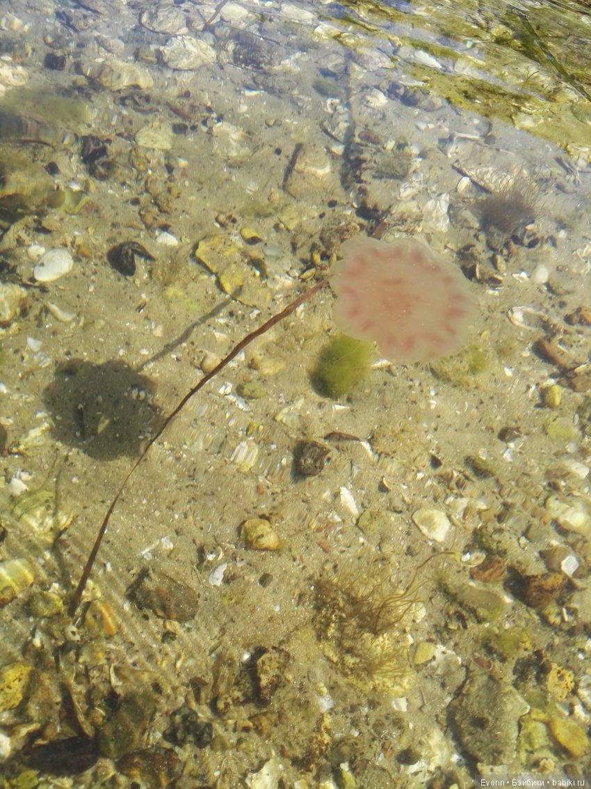 Кукла БЖД Юлька и море — Куклы Milim Studio (Милим): российские БЖД