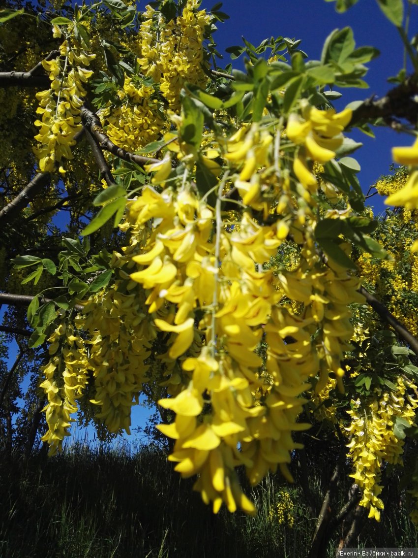 Кукла БЖД Юлька и море — Куклы Milim Studio (Милим): российские БЖД