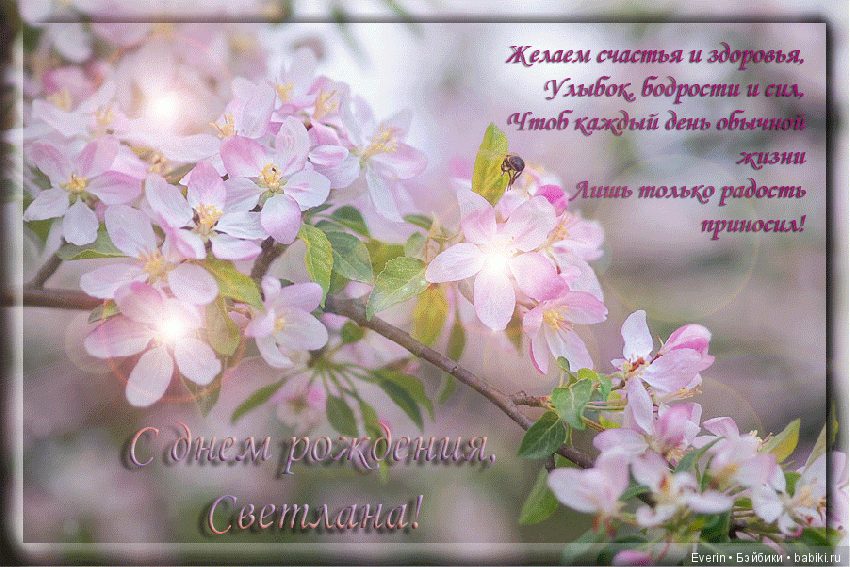 С Днем рождения SVK1 | Бэйбики С Днем рождения SVK1 — Болталка и разговоры обо всем: жизнь (фото 2)