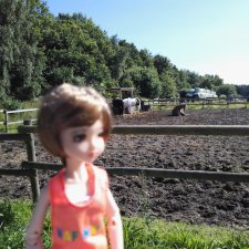 Первая прогулка Мии