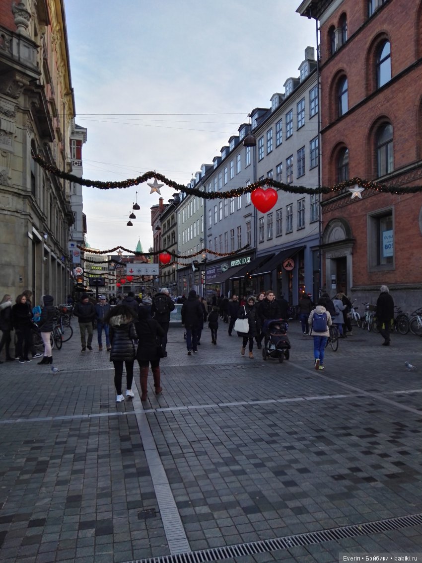Предрождественская прогулка маленькой Ниссе (фото 3)