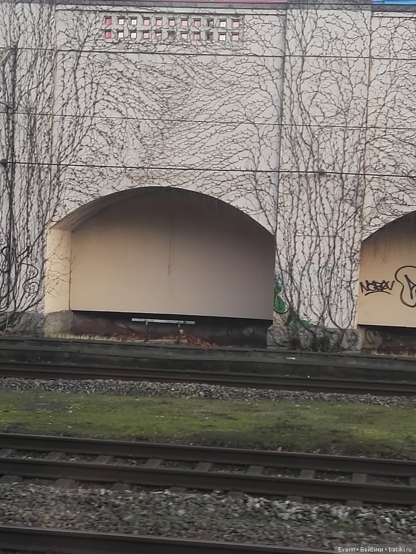 Предрождественская прогулка маленькой Ниссе (фото 2)