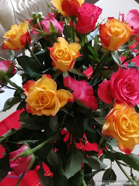 Челлендж это заразно — Кукольные флешмобы: Эстафеты