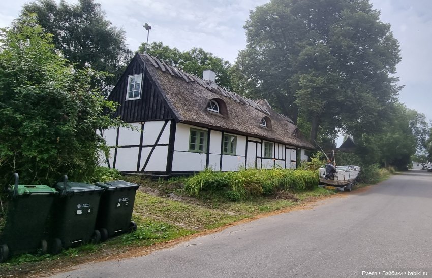 Когда эмоции зашкаливают 2 (фото 6)