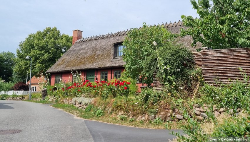 Когда эмоции зашкаливают 2 (фото 8)