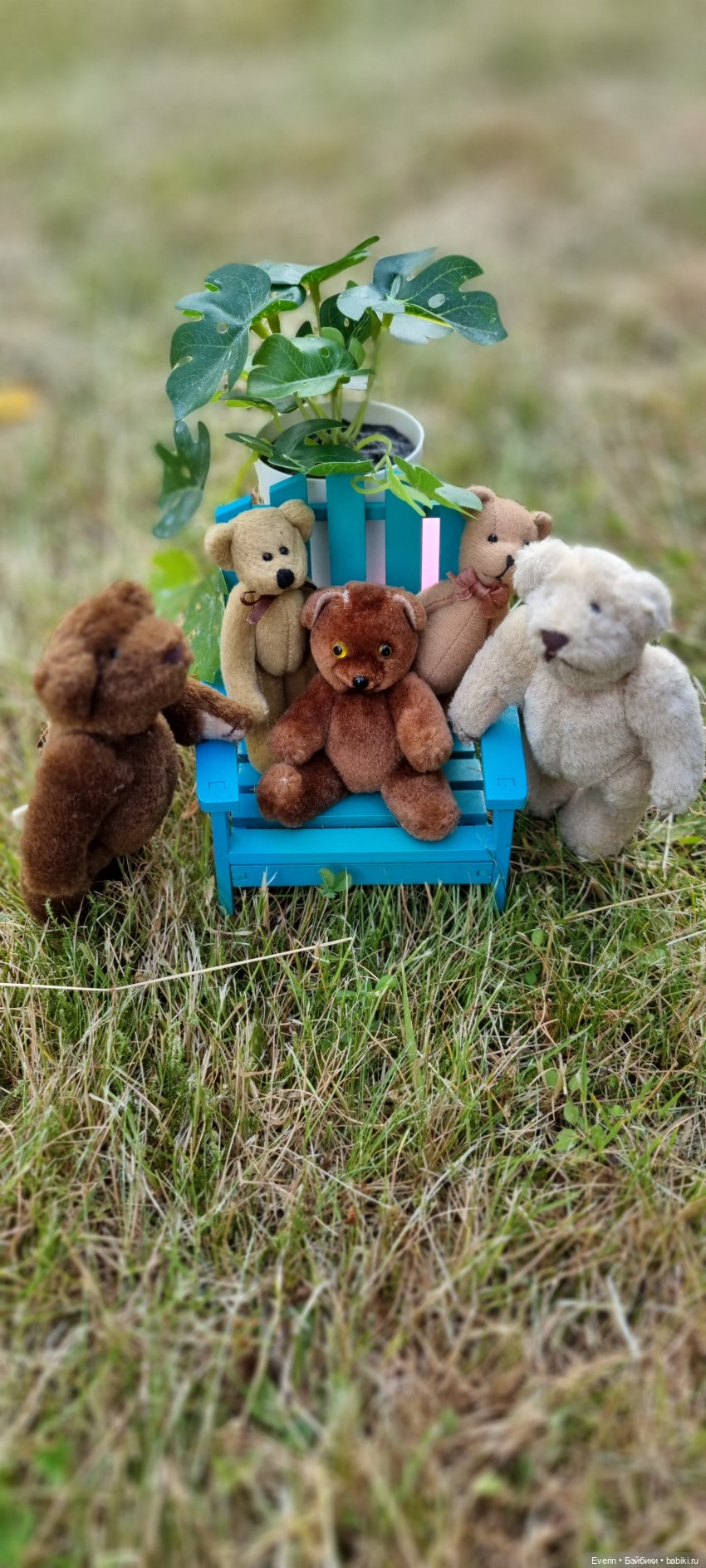 Когда эмоции зашкаливают 2